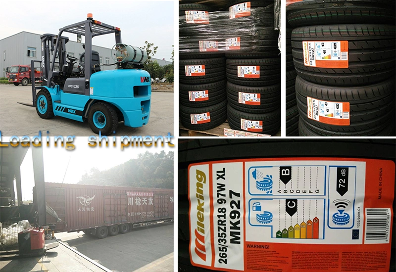 Hot Sale Tractor Tyres with Rims 4.00-9 Spraying Machinery Tires