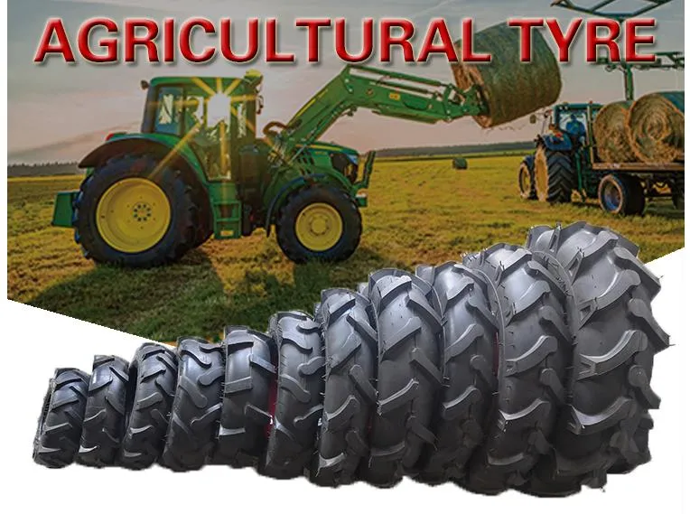 High Quality Pneumatic 5.00-10 Agricultural Tyre with Rim