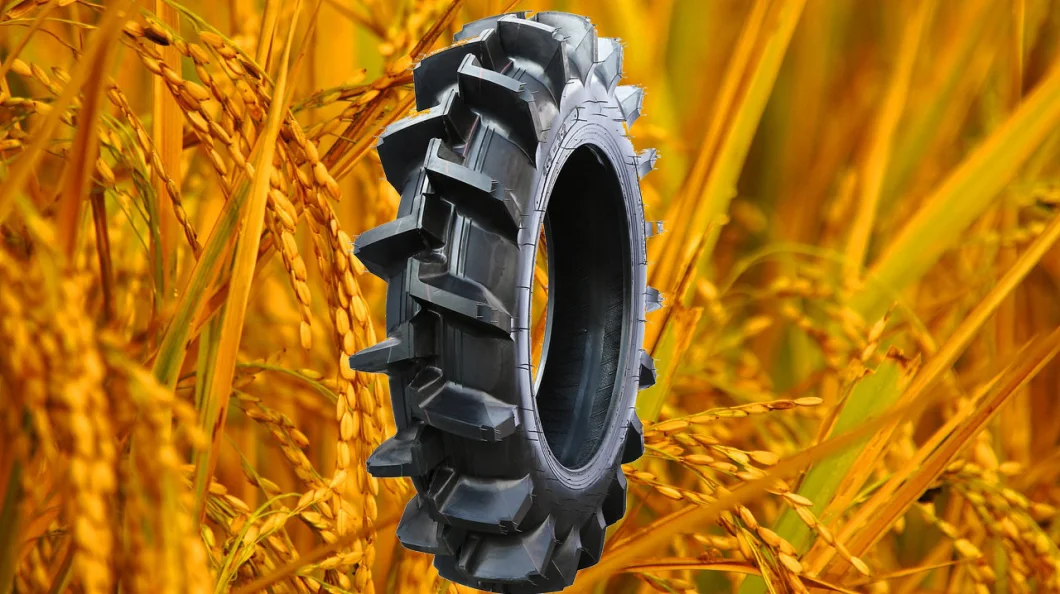 Agricultural Tire / Agr Tyres / Tractor Tires / Tyre (4.00-12, 5.00-15, 5.50-16, 10.00-16, 11.00-16)