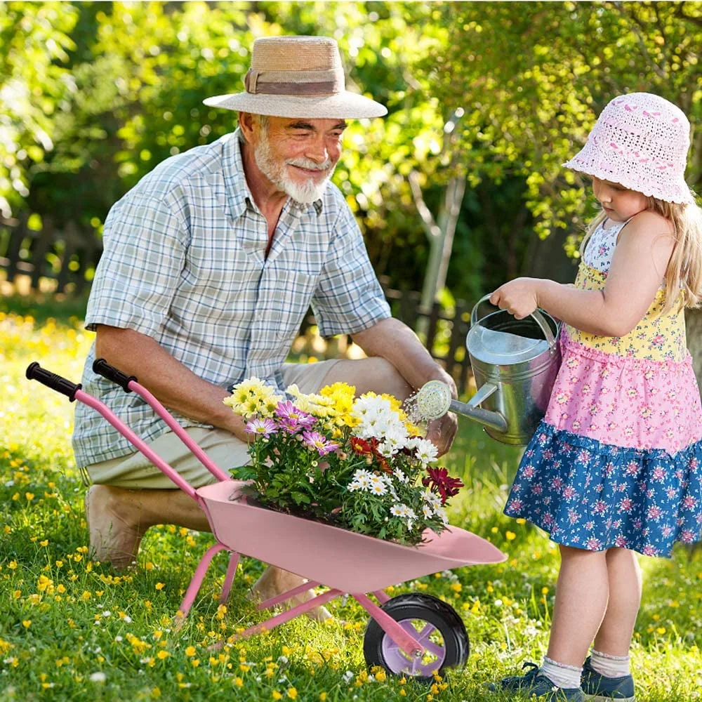 Garden Tool Wheelbarrow Wheel Barrow