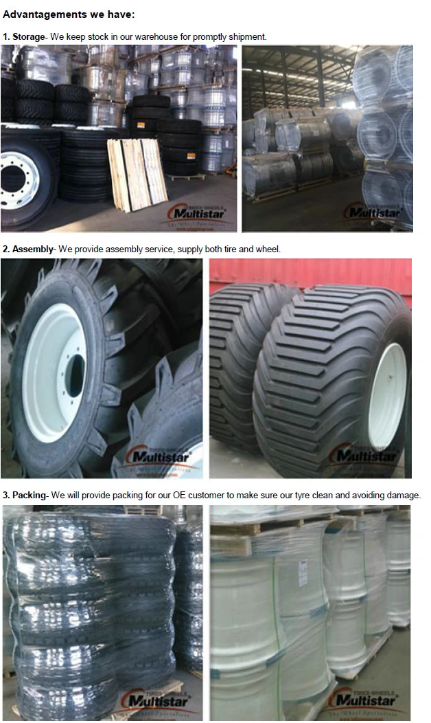 10.0/75-15.3, 11.5/80-15.3, 12.5/80-15.3 Implement Tyre Agricultural Tyre