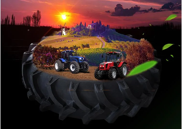 New Names and Uses Agricultural Machines Skid Steer Tyres with Wheel Rims