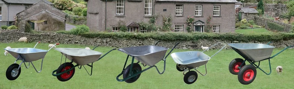 Double Wheel Wb5009m Russia Beralus Market Wheelbarrow for Construction with Galvanized Tray