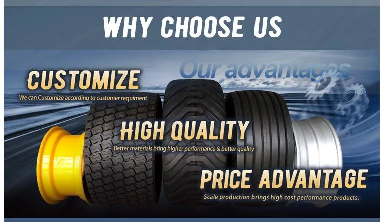 China Top Quality Competitive Price Mini Tractor Agricultural Cultivators Tyres 5.00-10