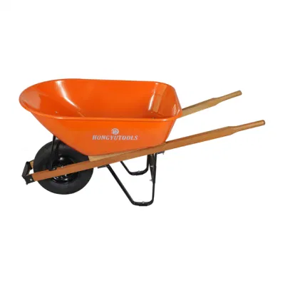  Carriola caratteristiche tecniche Standard Prezzo di fabbrica costruzione Giardino Carrocon in plastica