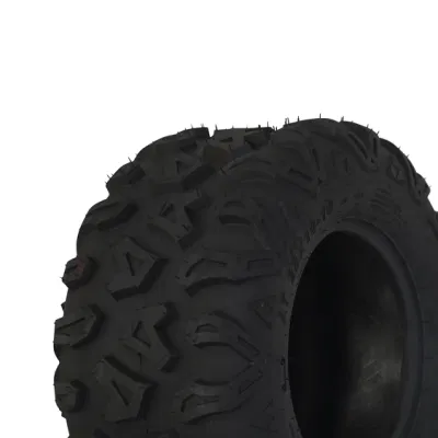Pneumatico per dune buggy UTV ATV 4X4 motore elettrico quad per Adulto (22X10-10)
