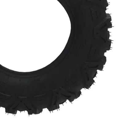 Pneumatico per dune buggy UTV ATV 4X4 motore elettrico quad per Adulto (22X10-10)
