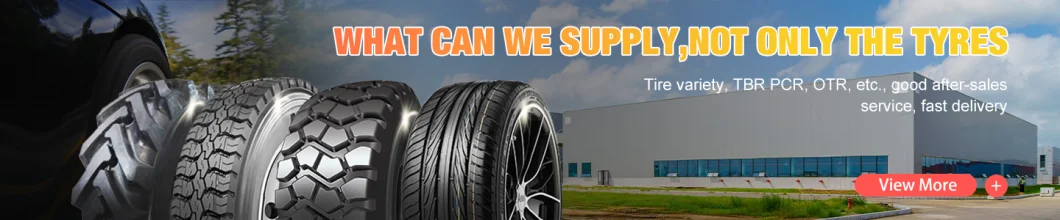 Wholesale Import Chinese New Passenger Car Tires China Price 205/65r15 225/45r17 Tires Cars All Sizes