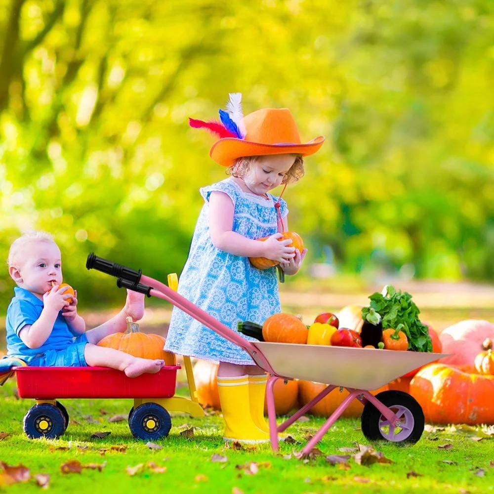 Garden Tool Wheelbarrow Wheel Barrow