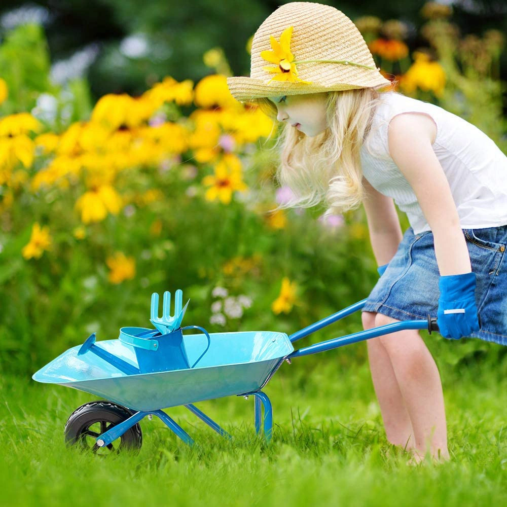 Garden Tool Wheelbarrow Wheel Barrow