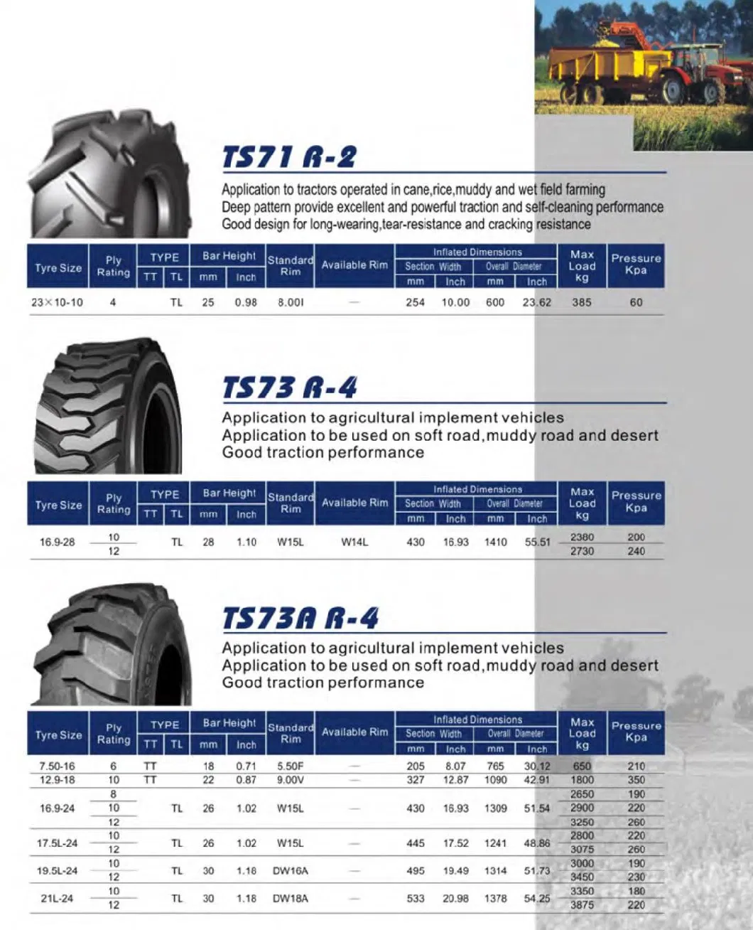 Radial Bias Agricultural Farm Tractor Tyre 10.0/75-15.3 10.5/80-18 12.5/80-18 R4 Taishan F2 4.00-12 4.00-14 4.00-16 5.00-15 5.50-15 6.00-16 6.50-16 Taishan