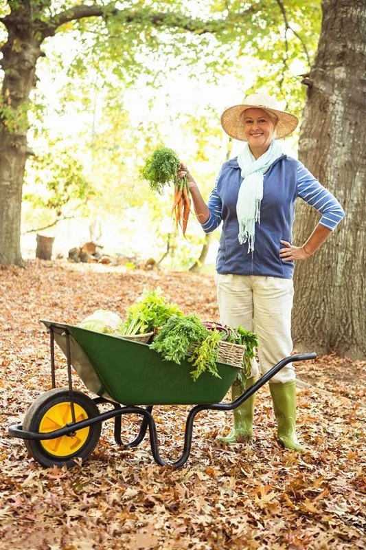 China Steel Wheelbarrow Heavy Duty Wheelbarrows Garden Wheelbarrow