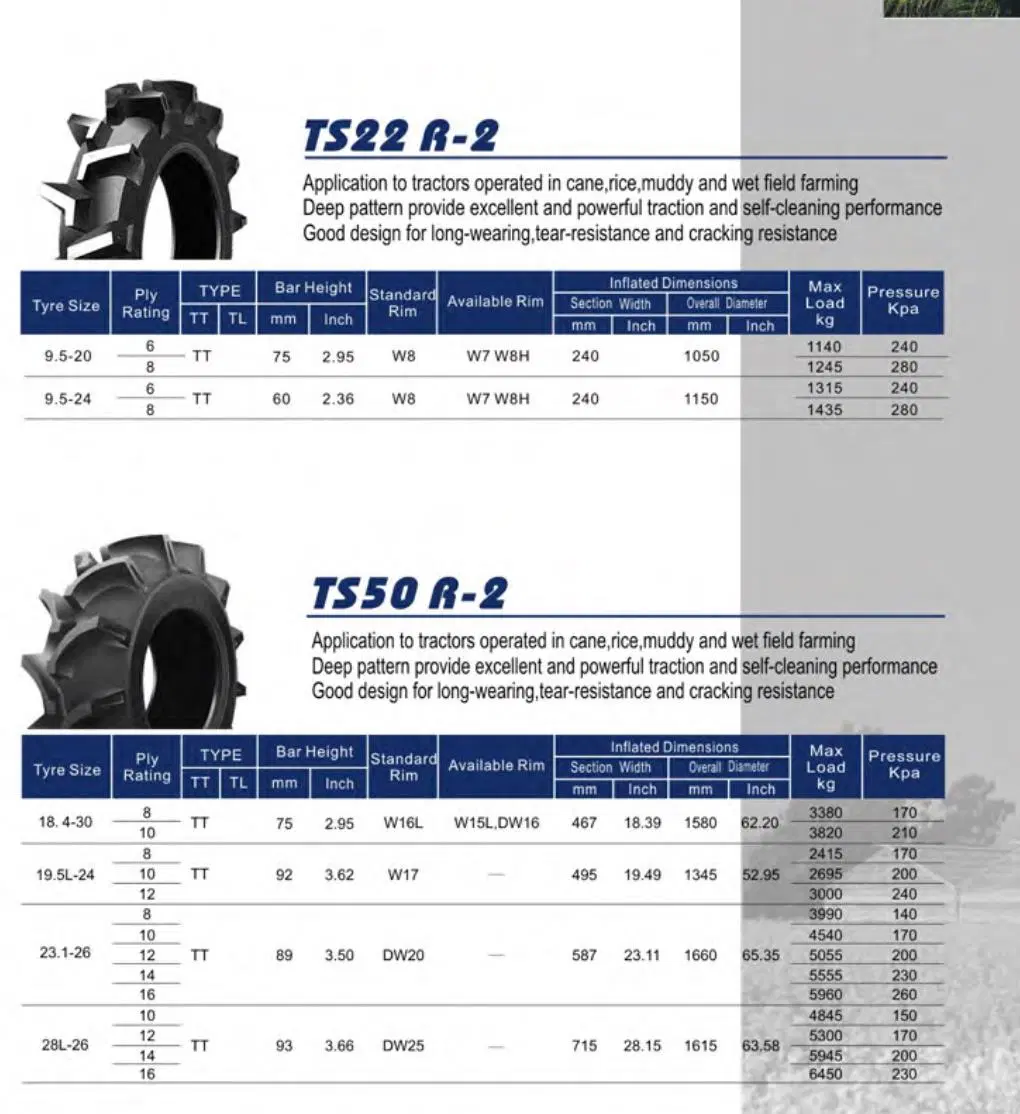 Radial Bias Agricultural Farm Tractor Tyre 10.0/75-15.3 10.5/80-18 12.5/80-18 R4 Taishan F2 4.00-12 4.00-14 4.00-16 5.00-15 5.50-15 6.00-16 6.50-16 Taishan