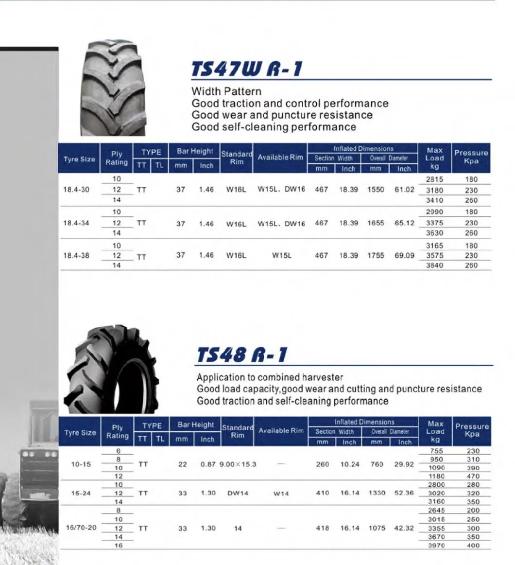 Radial Bias Agricultural Farm Tractor Tyre 10.0/75-15.3 10.5/80-18 12.5/80-18 R4 Taishan F2 4.00-12 4.00-14 4.00-16 5.00-15 5.50-15 6.00-16 6.50-16 Taishan