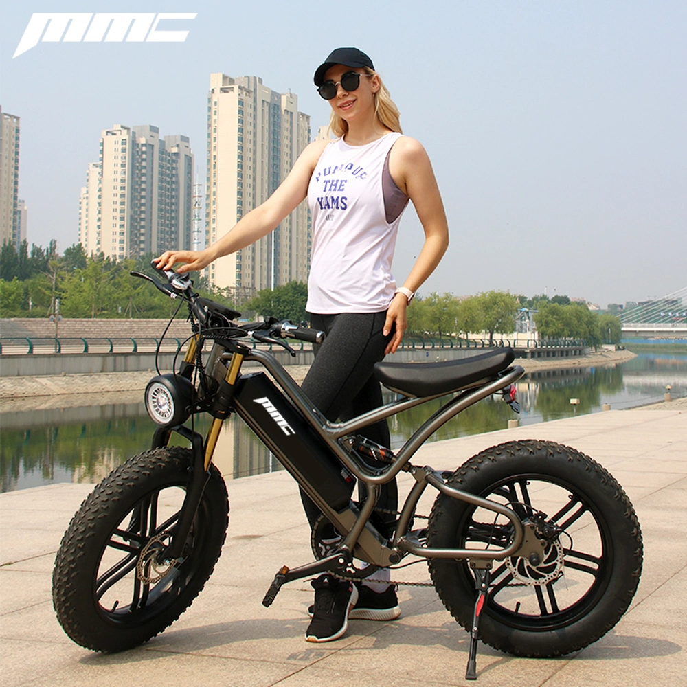 500/750W High Power Fat Tire 48V Full Shock Absorber Electric Mountain Bike Electric Bicycle