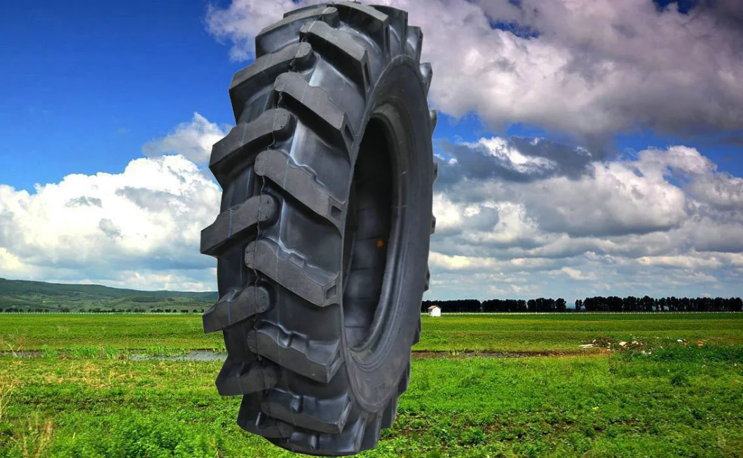 Agricultural Tire / Agr Tyres / Tractor Tires / Tyre (4.00-12, 5.00-15, 5.50-16, 10.00-16, 11.00-16)