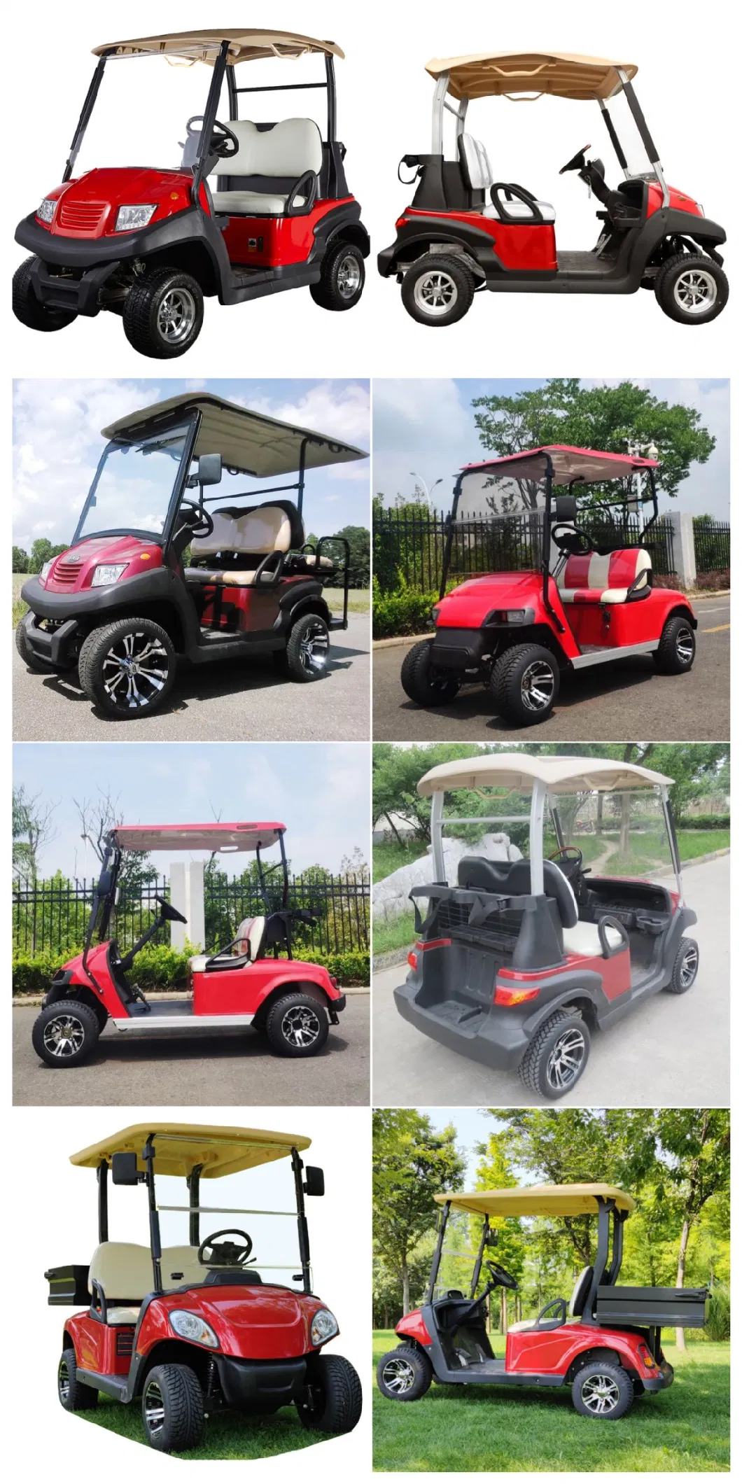 2-Seater Golf Cart with Lithium Battery Wholesale and Retail Latest Electric Car