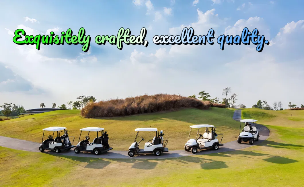 Golf Cart Electric Car Electric Sightseeing Bus Club Car with Lithium Battery 2 Seats 72V