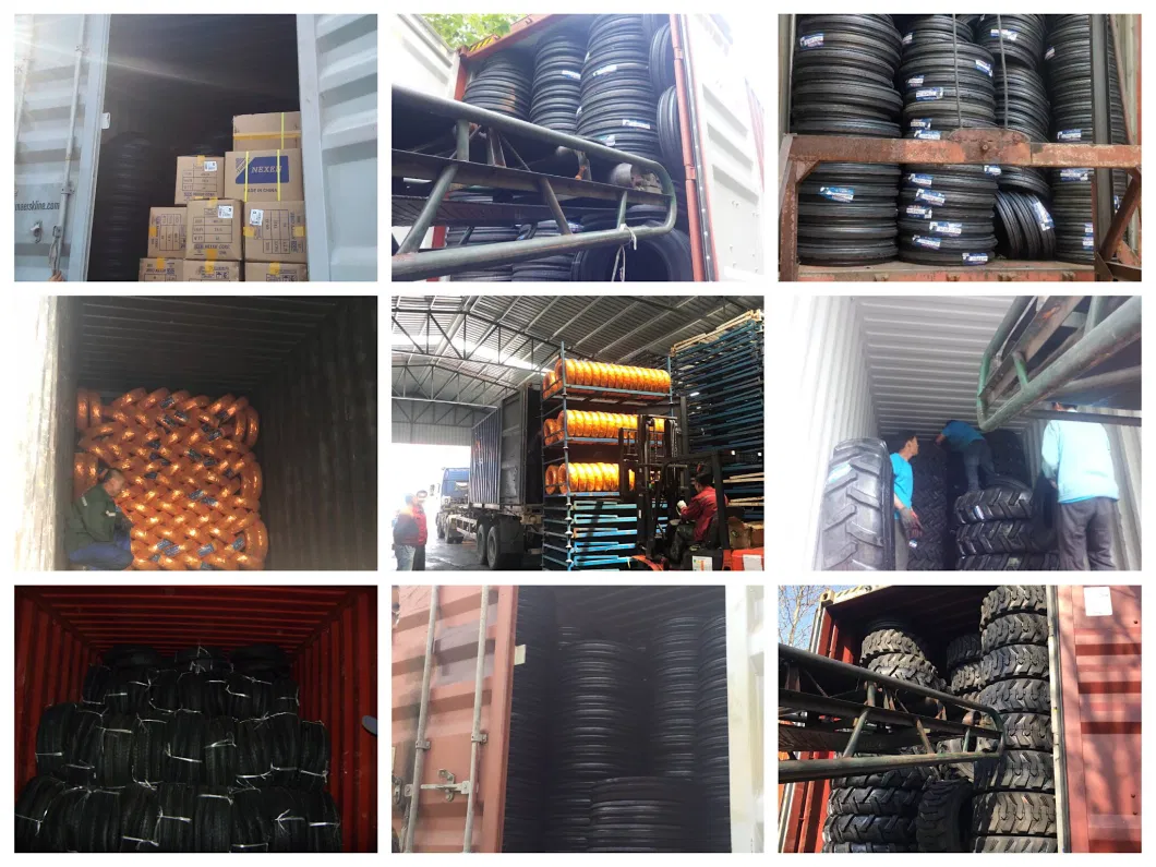 5.00-12 6pr Tt Tractor Tire/Tractor Tyres/Farm Tires/Agriculture Tires/Agriculture Tyres/Agricultural Tires/Agricultual Tyres (R-1)