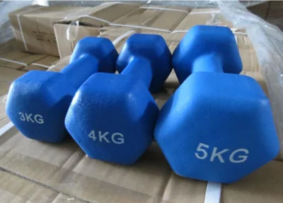 Best Quality Fitness Equipment/Gym Equipment Free Weight Vinyl Dumbbell