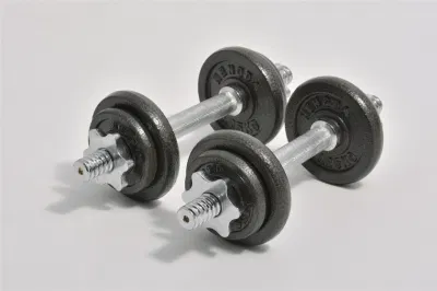  10kg Adjustable Cast Iron Dumbbell Set Fitness Equipment for Home Gym