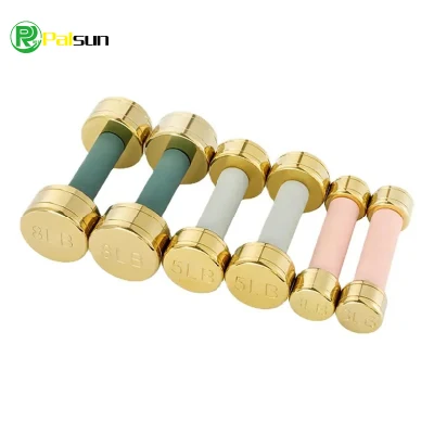 Household Gym Dumbbell Stainless Steel Electroplated Metal Small Fitness Dumbbells for Women