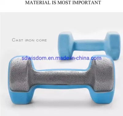 Dumbbells Available for Purchase: Find Dumbbells in Stock Now