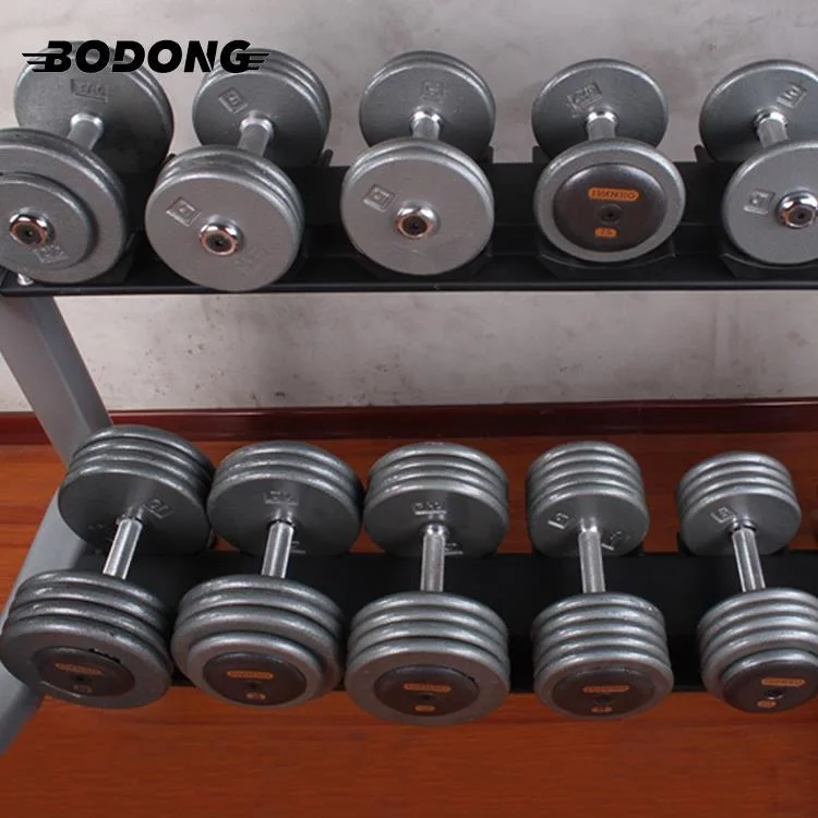 New Design Rounded Grip Commercial Gym Fitness Equipment Painted Cast Iron Dumbbell Set