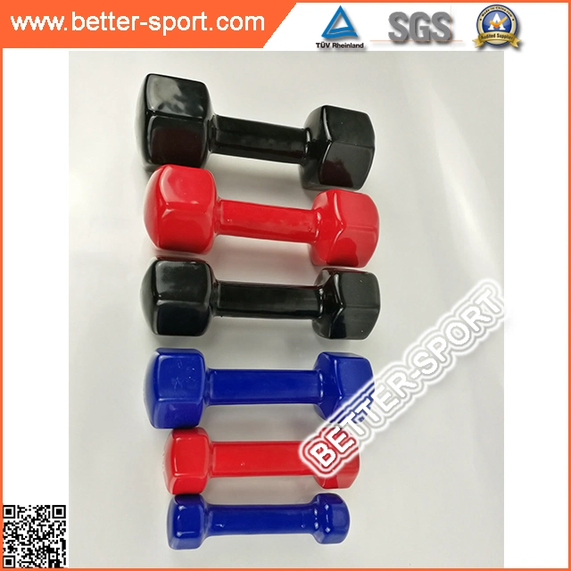 High Quality Colorful Vinyl Dumbbell
