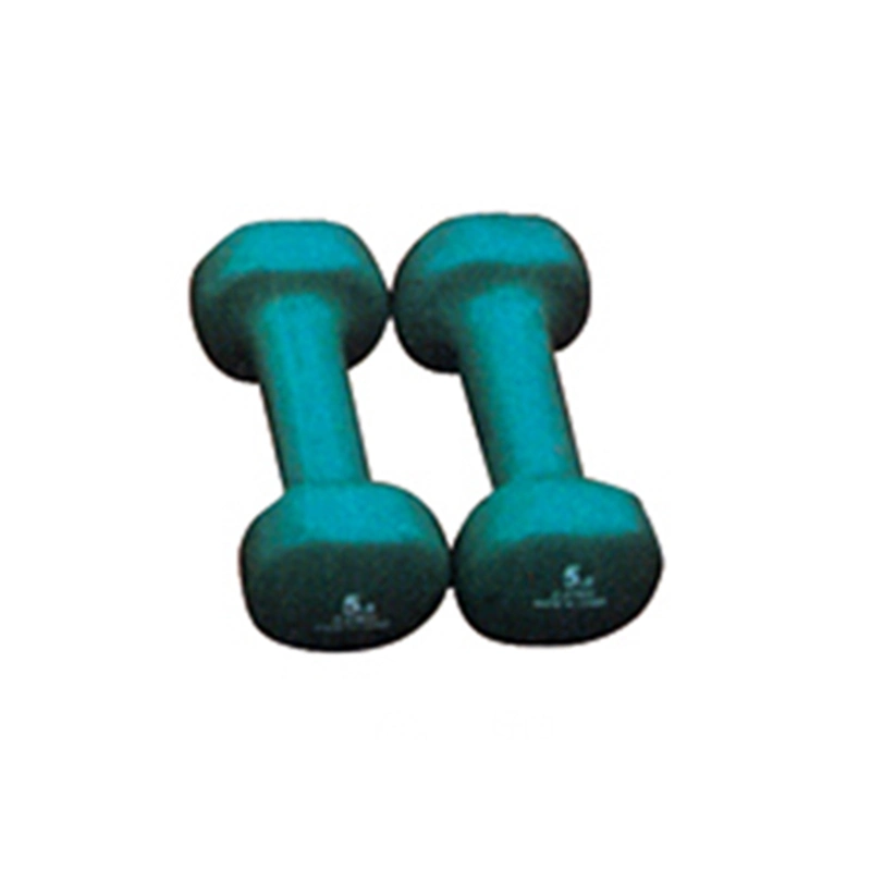 Core Fitness Equipment Cast Iron Dumbbells Non Toxic Home Exercise Dumbbell Set