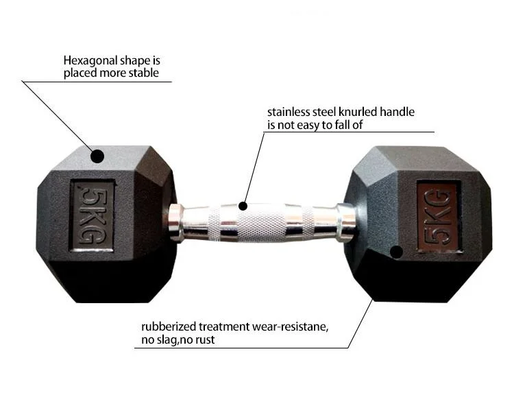 Cast Iron Hex Dumbells 10kg Rubber Dumbbell Set in Door