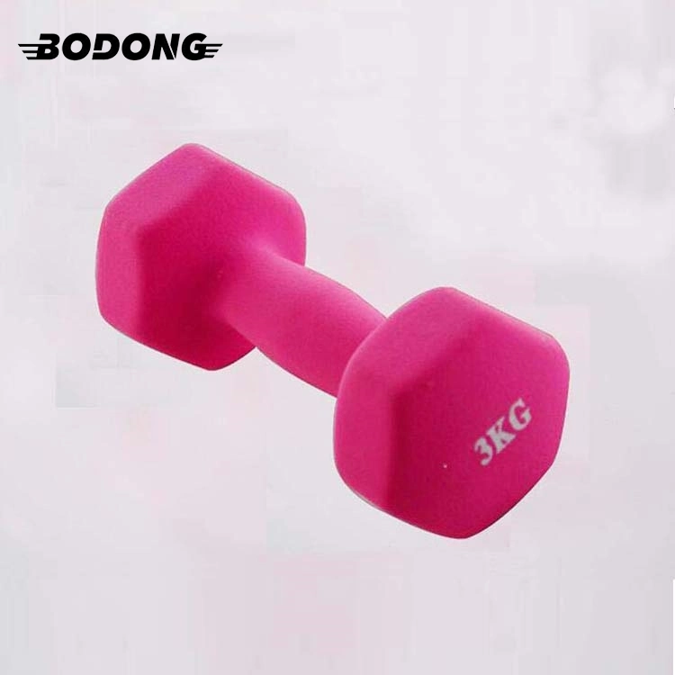 Deluxe Colorful Neoprene Coated Dumbbell Gym Lifting Strength Equipment Vinyl Cast Iron Dumbbell for Women Yoga Use