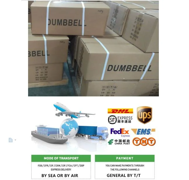 Wholesale 1.5-13.5 Kg Dumbbell Fitness Equipment Dumbbell Set