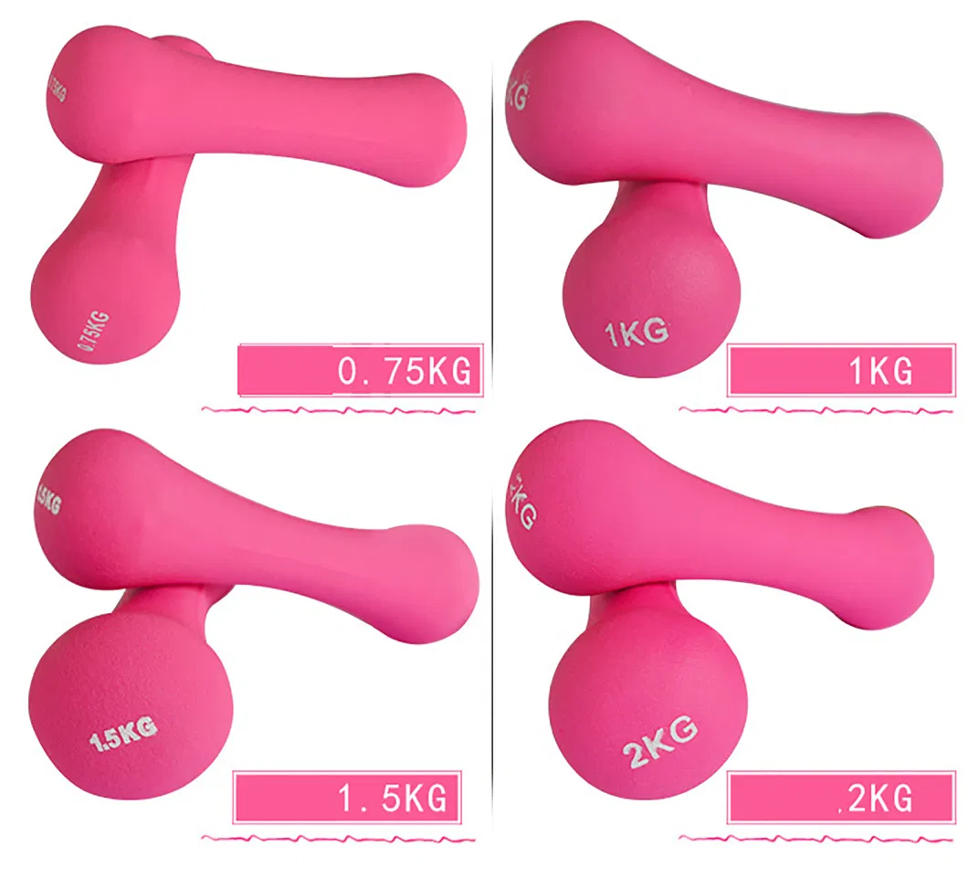 Wholesale Colourful Mini Neoprene Dumbbell Hand Weights Anti-Slip Anti-Roll Hex Shape Colorful Dumbbells