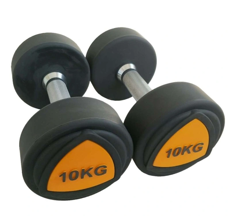 Hot Sale Arm Exercise Free Weight PU Dumbbell Gym Accessories