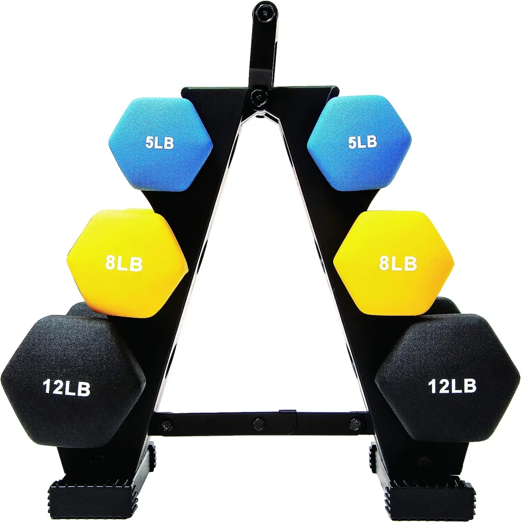 Dumbbell Weight Rack Stand Compact Dumbbells Holder for Home Gym Exercise