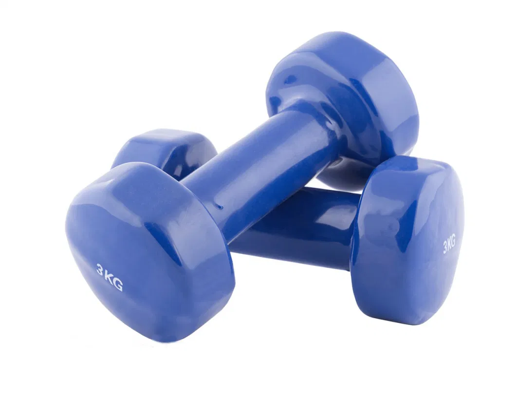 OEM Customizedhot Sale Cast Iron Rubber Coated Hex Dumbbell