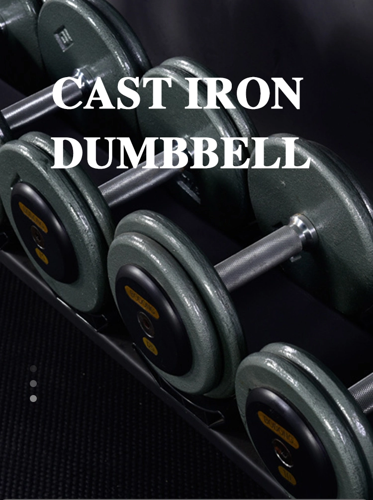 Hot Sale Cheap Price Cast Iron Dumbbell Manufacture Custom Gym Equipment Fitness Weight Lifting Power Training Baking Round Head Fixed Free Weights Gym Dumbbell