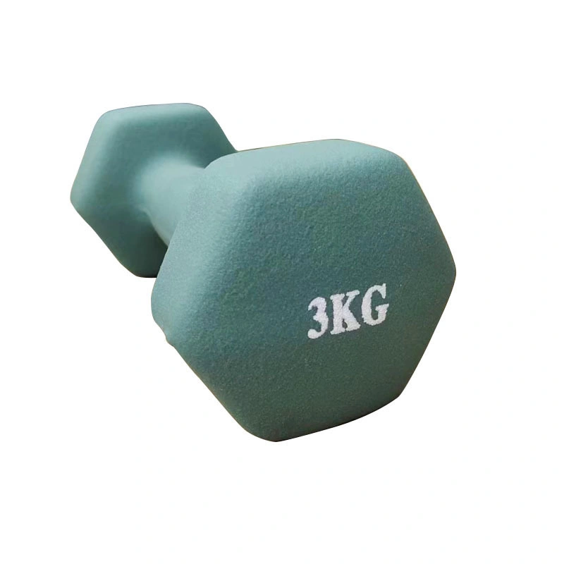 Neoprene Vinyl Dumbbell Colorful Custom Logo