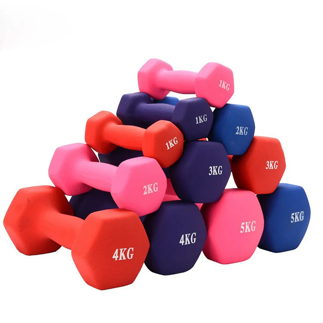 Hexagon Impregnated Dumbbell Glossy Frosted Multicolored Dumbbells