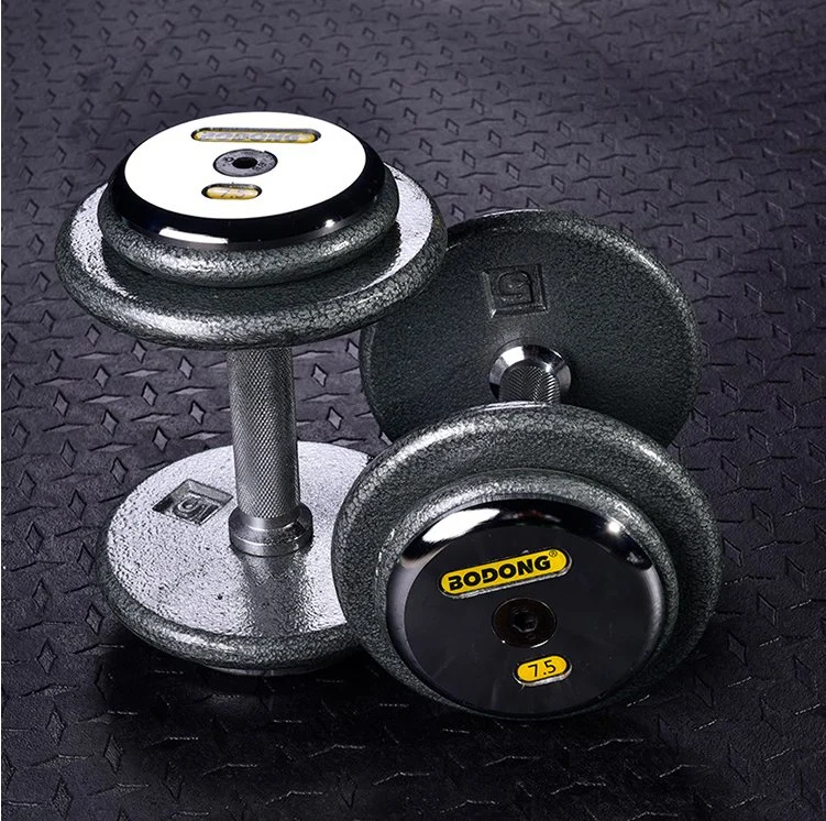 Hot Sale Cheap Price Cast Iron Dumbbell Manufacture Custom Gym Equipment Fitness Weight Lifting Power Training Baking Round Head Fixed Free Weights Gym Dumbbell
