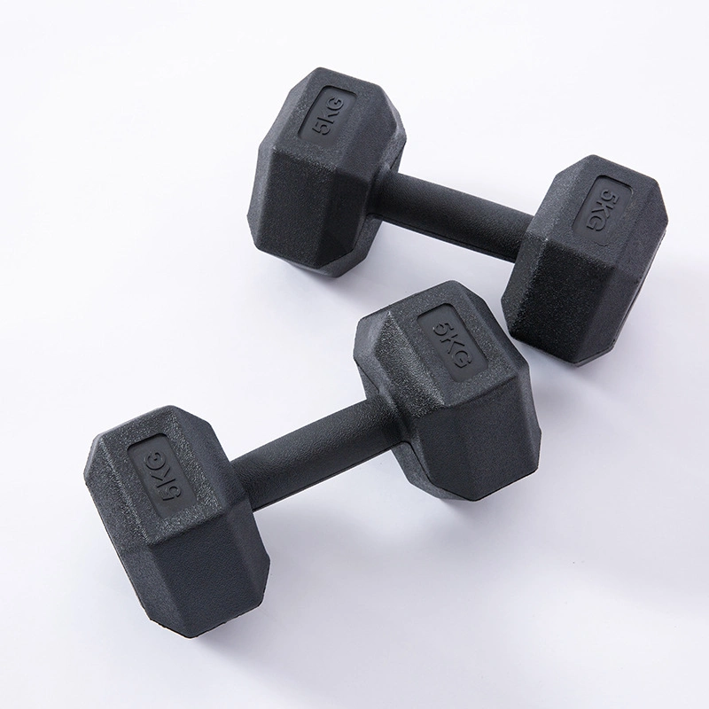 Gym Equipment Fitness Dumbbell Metal Handle Cast Iron Rubber Hex Hexagon Dumbbell