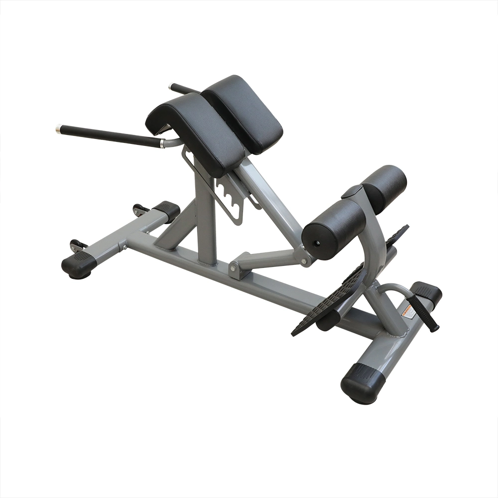 Commercial Strength Equipment Roman Chair Home Gym Dumbbell Chair Exercise Machine for Waist Training