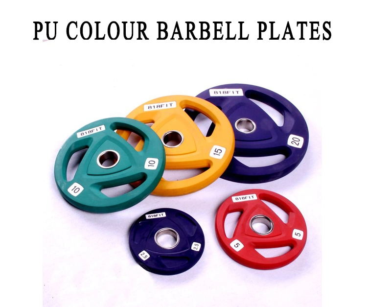 Factory Price Gym Strength Fitness Equipment Barbell Plates Kilogram PU Bumper Plates