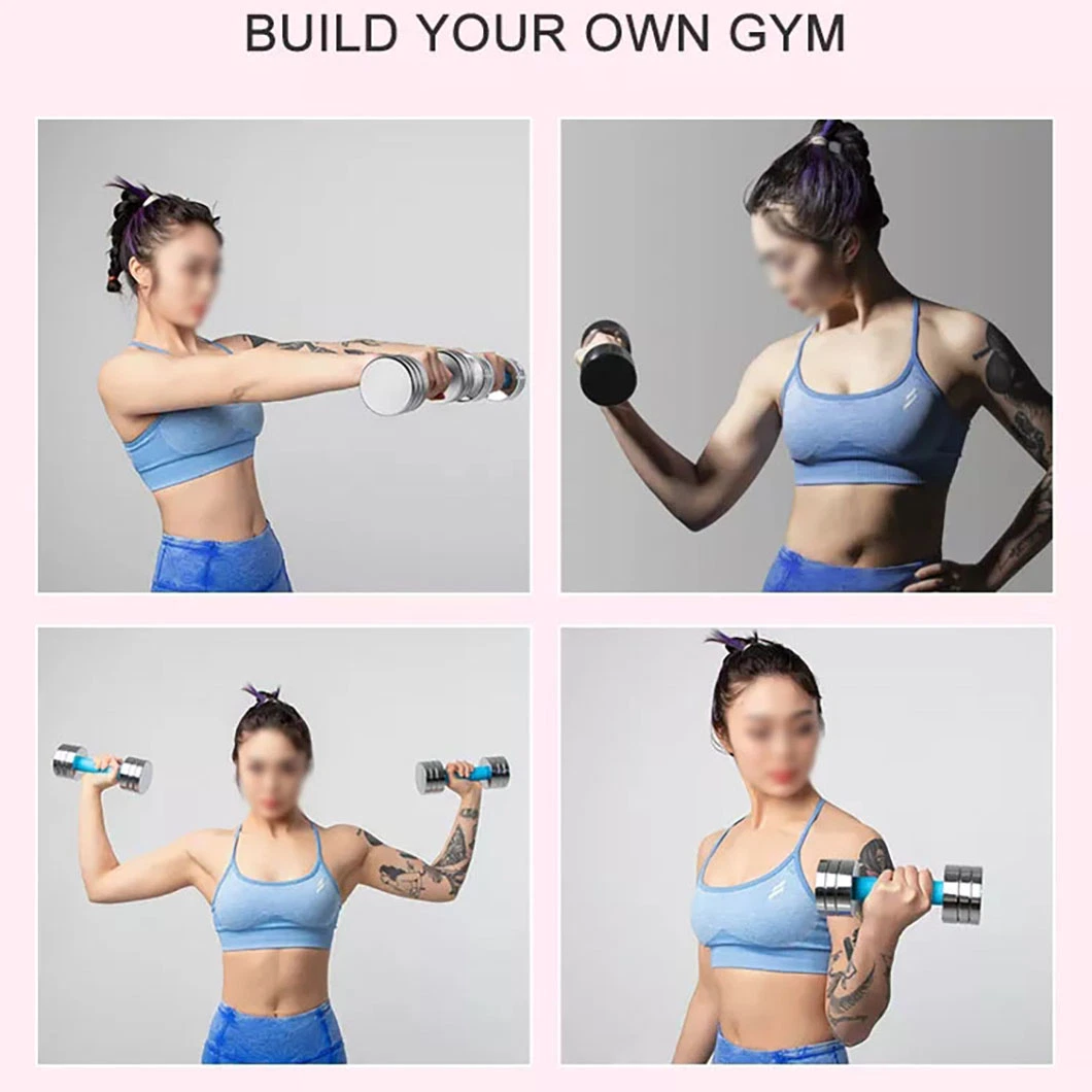 Factory Price Pink Purple Blue 2.5kg Mini Adjustable Fitness Dumbbell Set Wholesale Dumbbell for Women Home Gym Use