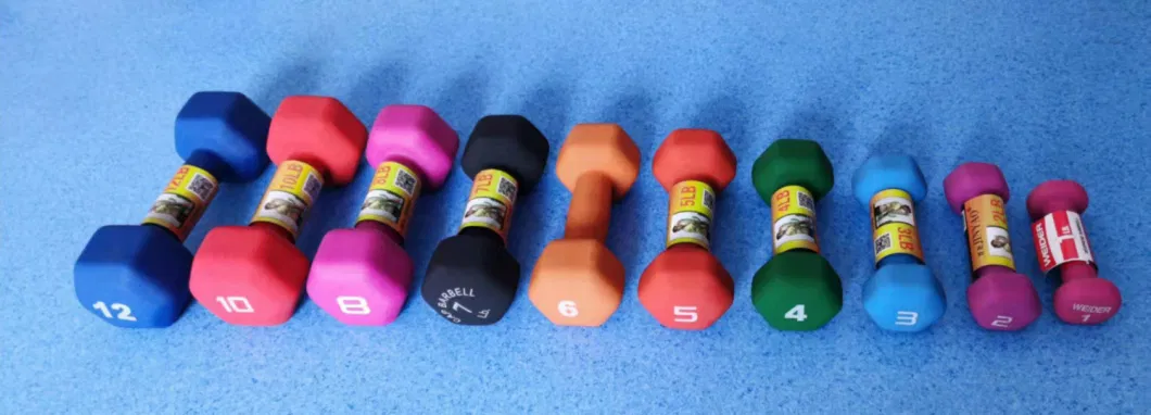 Home Gym Vinyl Coated Colorful Women Dumbbell