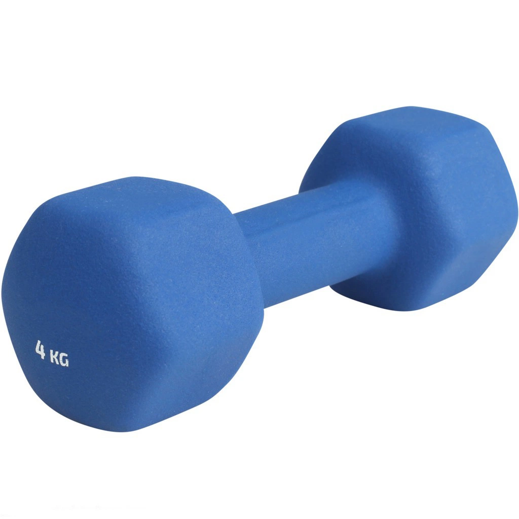 OEM High Quality Rubber Coated Cast Iron Hex Dumbbell