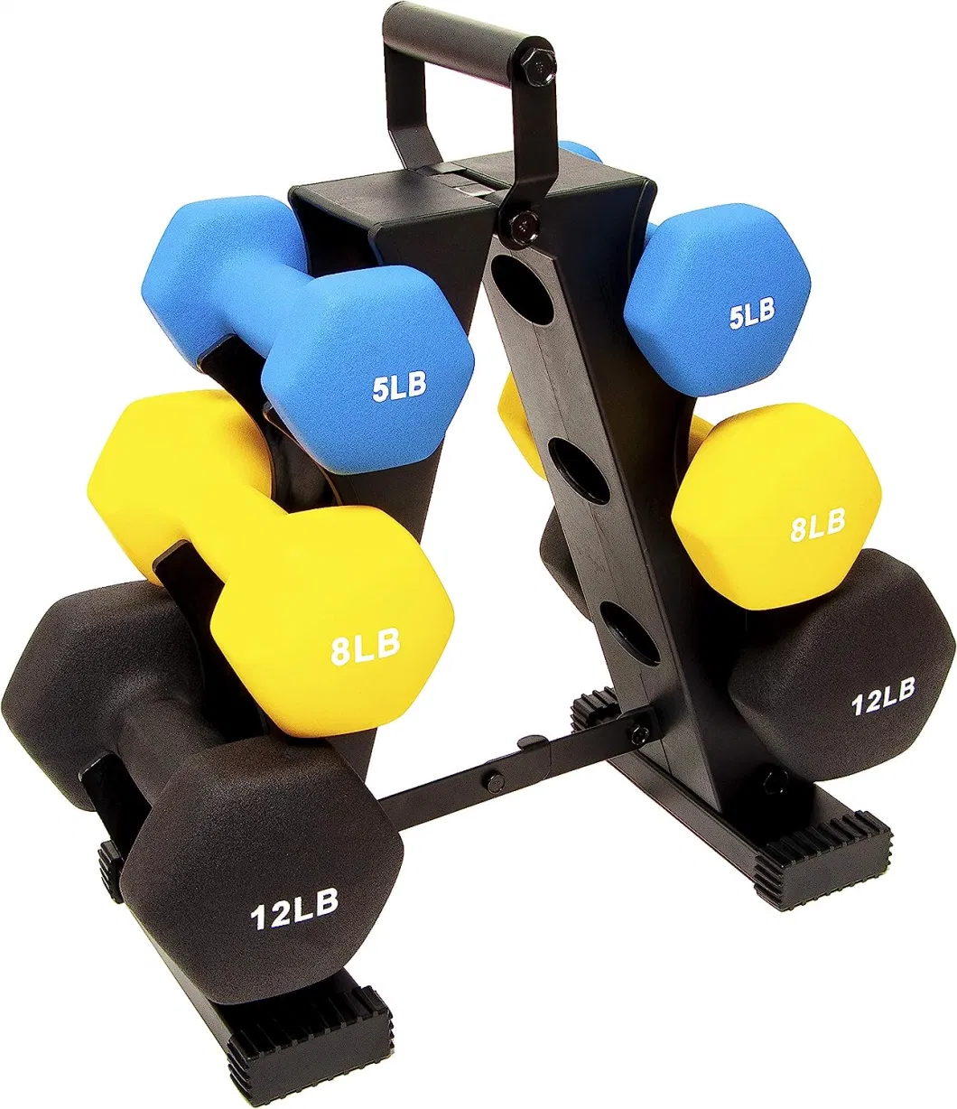 Dumbbell Weight Rack Stand Compact Dumbbells Holder for Home Gym Exercise