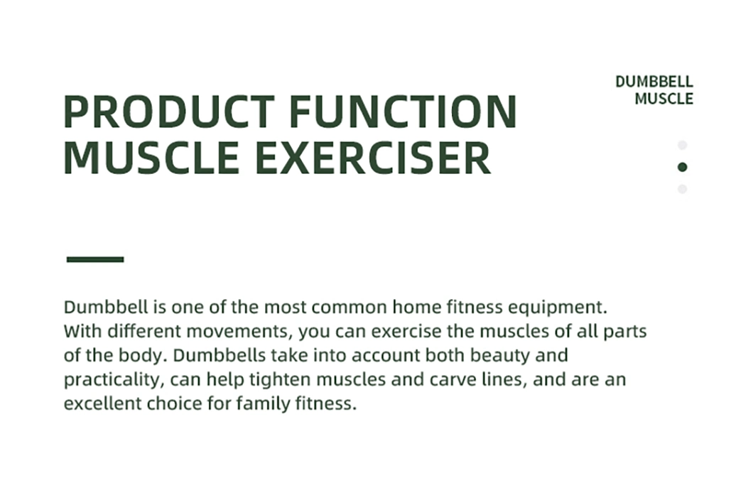 Household Gym Dumbbell Stainless Steel Electroplated Metal Small Fitness Dumbbells for Women