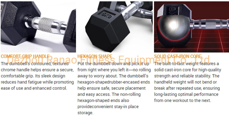 Gym Used Factory Customized Logo Cheap Kg &amp; Lb Hex Rubber Dumbbell